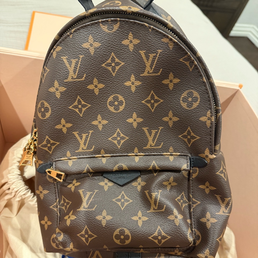 Louis Vuitton Palm Springs Mini Monogram